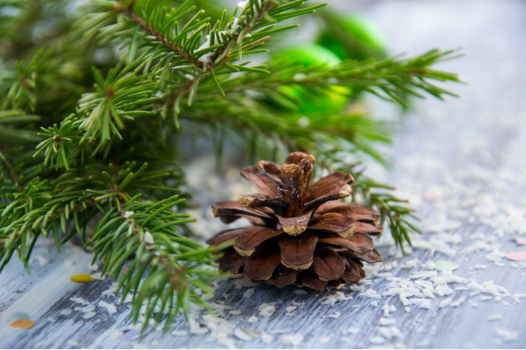 A Regal Festivity: Table Top Christmas Trees for Medieval Times